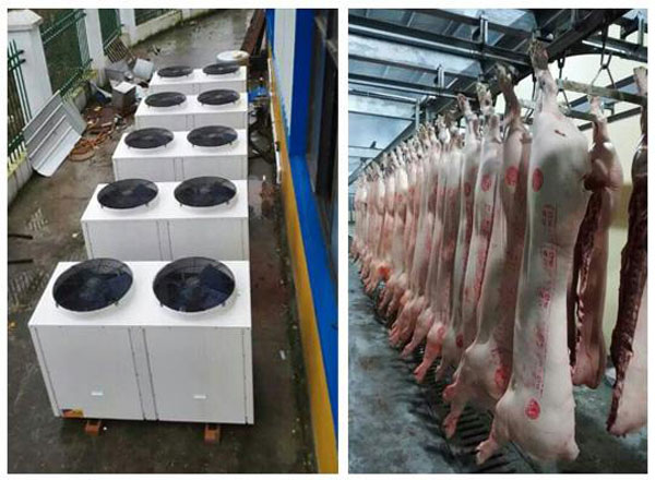 屠宰場高溫熱水解決方案